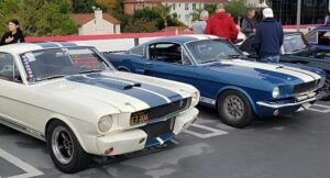 Read more about the article Wild Mustangs at the Petersen